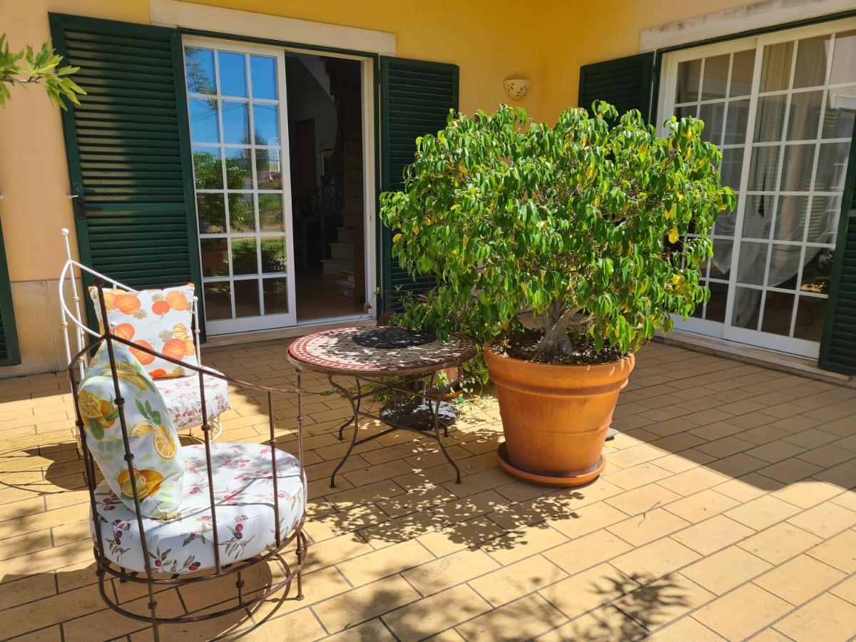 Casa Dos Ventos Bed & Breakfast Olhão Dış mekan fotoğraf
