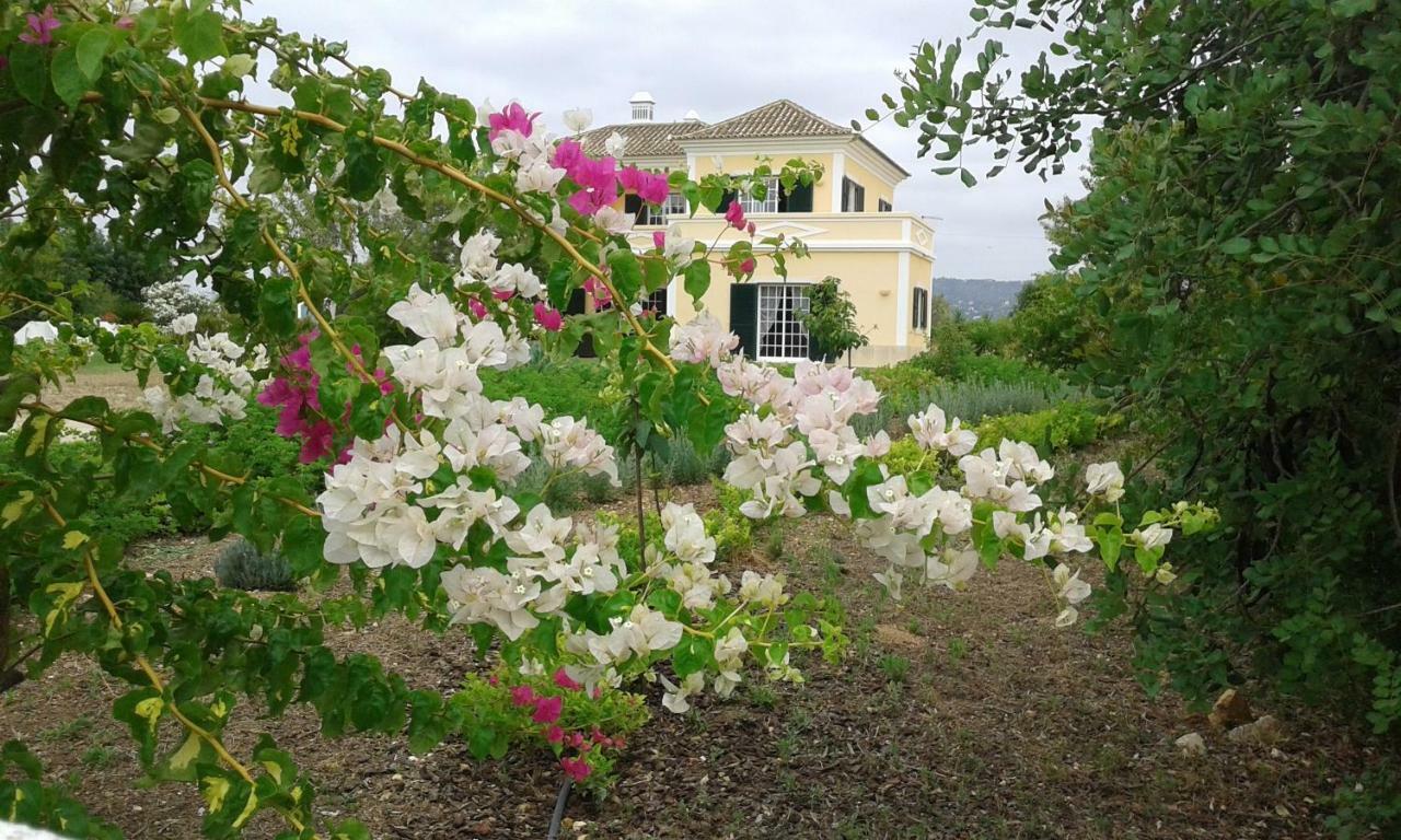 Casa Dos Ventos Bed & Breakfast Olhão Dış mekan fotoğraf
